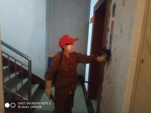 每日消杀 (22)