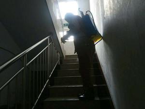每日消杀 (31)