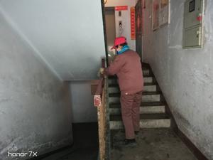 每日消杀 (32)