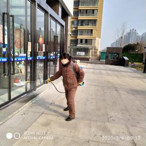 每日消杀 (46)