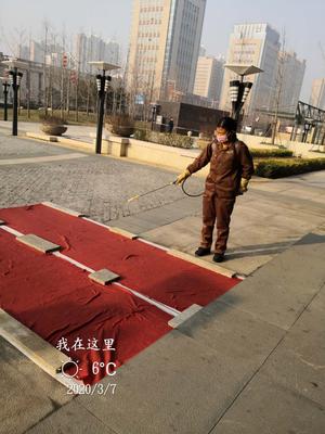 每日消杀 (58)