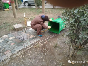 20190203